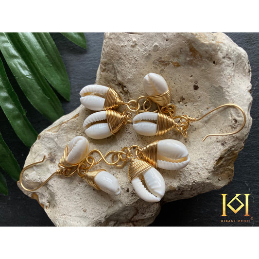 Cowrie Shells