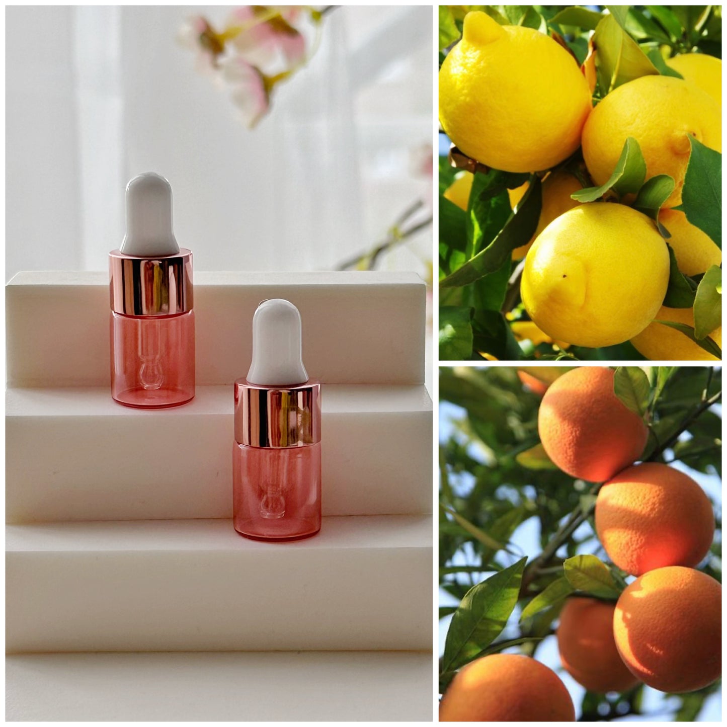 Rose Quartz Aromatherapy Perfume Bottle Pendant Necklace & Essential Oils Kit