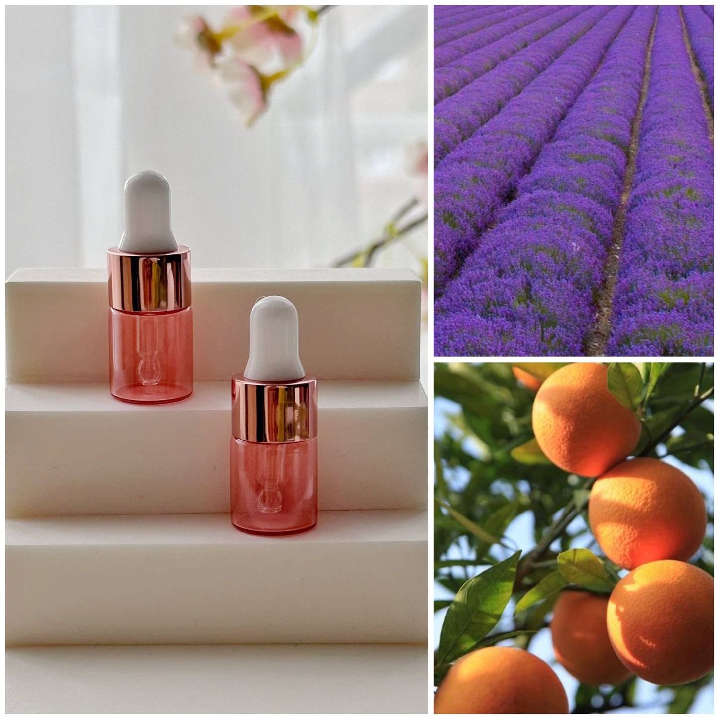 Rose Quartz Aromatherapy Perfume Bottle Pendant & Essential Oils