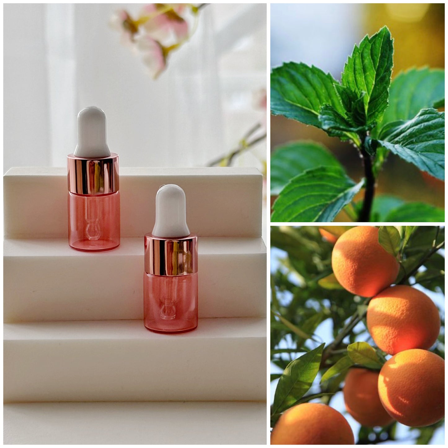Rose Quartz Aromatherapy Perfume Bottle Pendant & Essential Oils